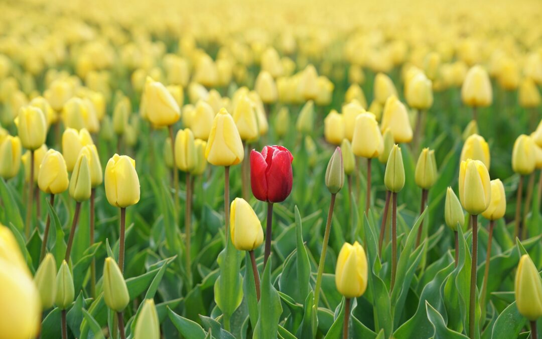 Understanding Deindividuation and Its Role in Human Behavior