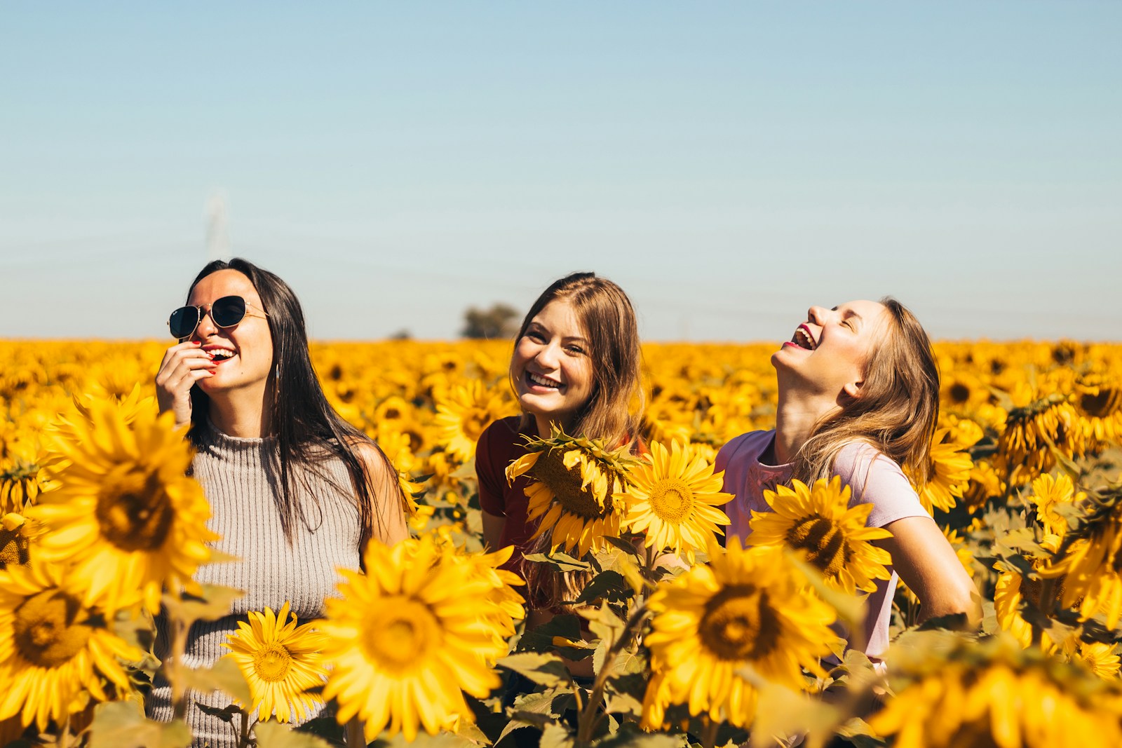 woman in white and black striped shirt standing on yellow sunflower field during daytime discontent