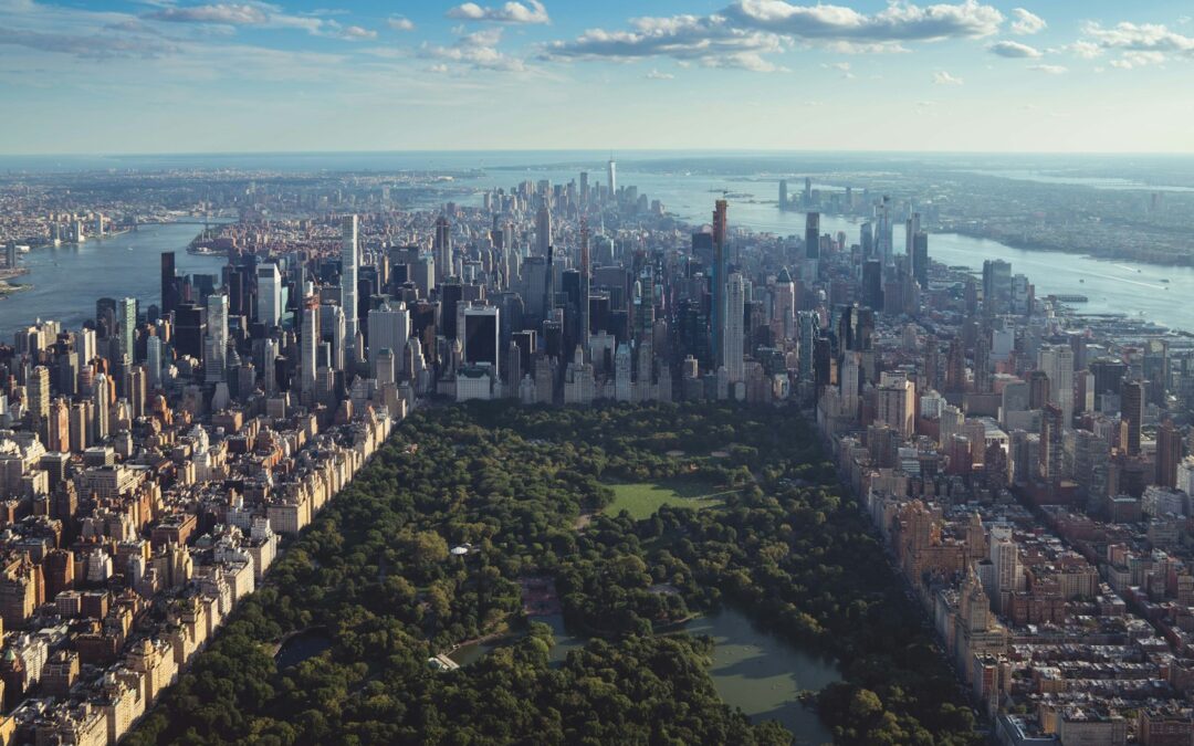 DBT Therapy in Manhattan: Virtual Support for Busy Professionals