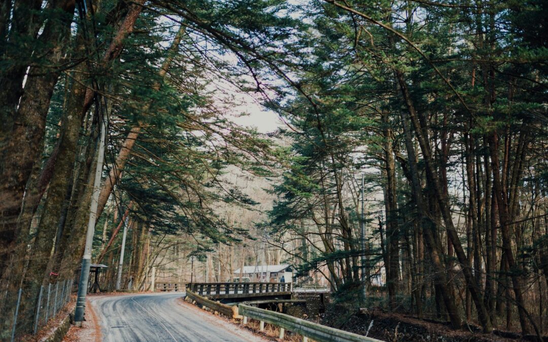 DBT Therapy in Long Branch: Your Path to Emotional Resilience