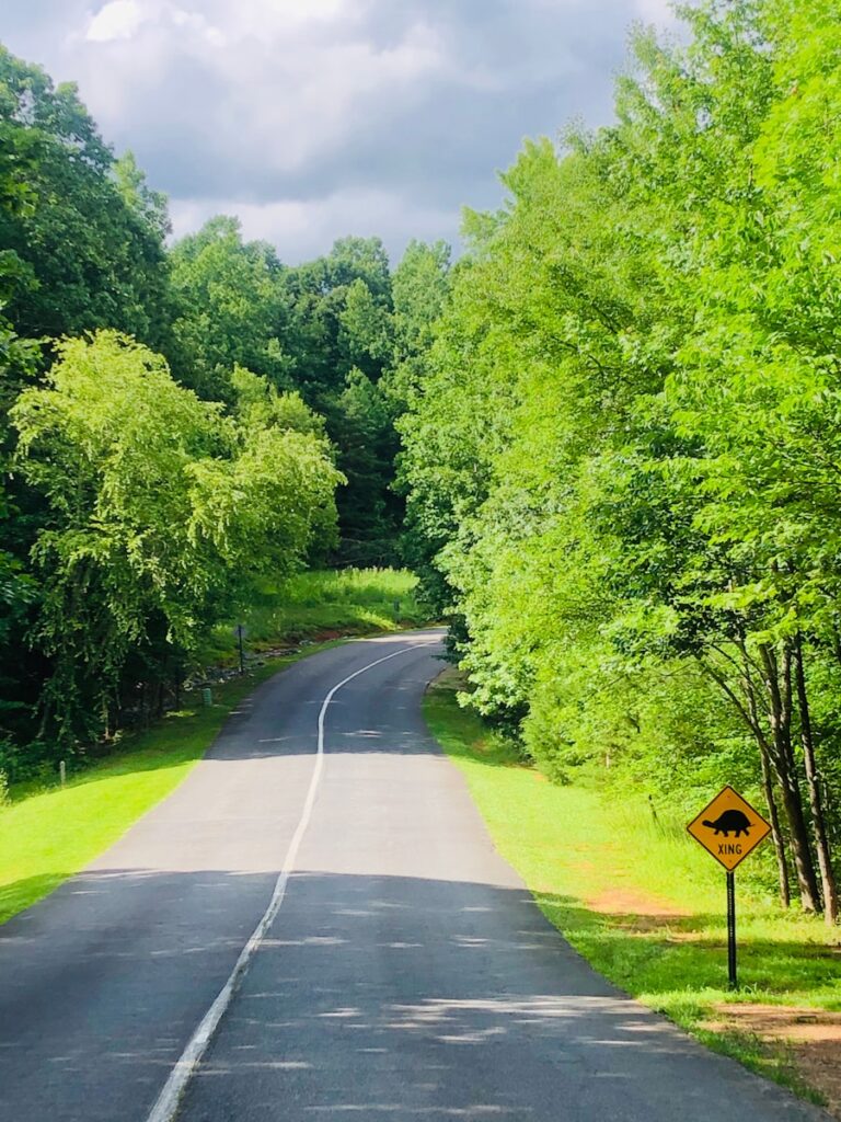a road with a sign on the side of it