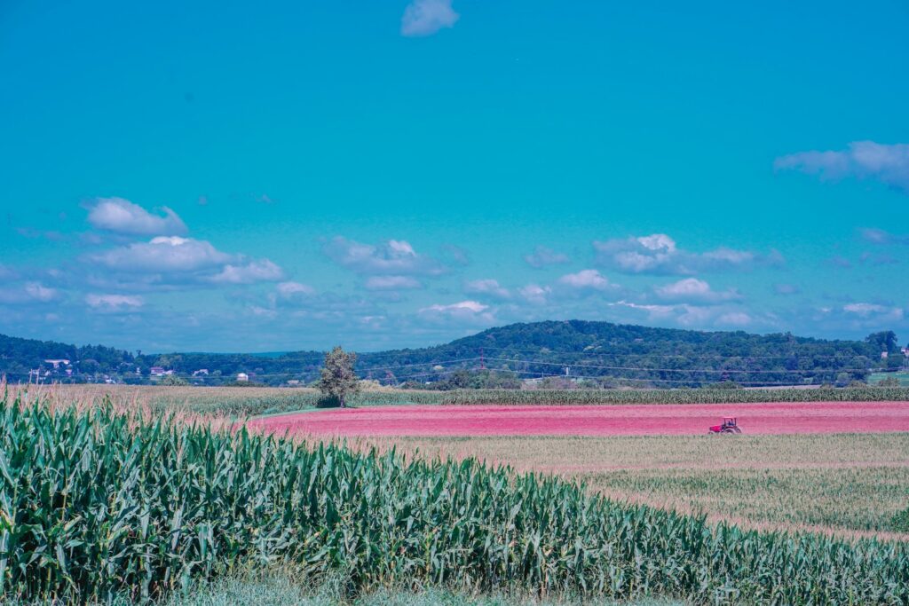 green grass field near mountain under blue sky during daytime
