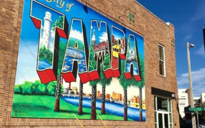 Virtual DBT Therapy in Tampa: Your Guide to Healing
