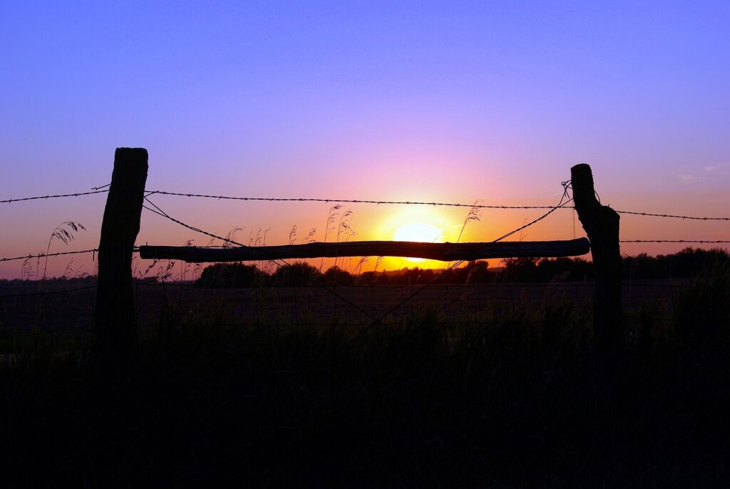 halstead kansas sunset, sun, sunset, sky, mood, landscape, dusk, dawn, atmospheric, sunrise, evening, twilight, yellow, orange, fence, posts, wire, barbed, nature, purple, summer, black, kansas