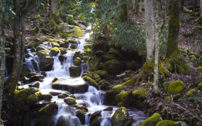 Virtual Mental Health Services Helping Cary Residents Create a Work-Life Balance