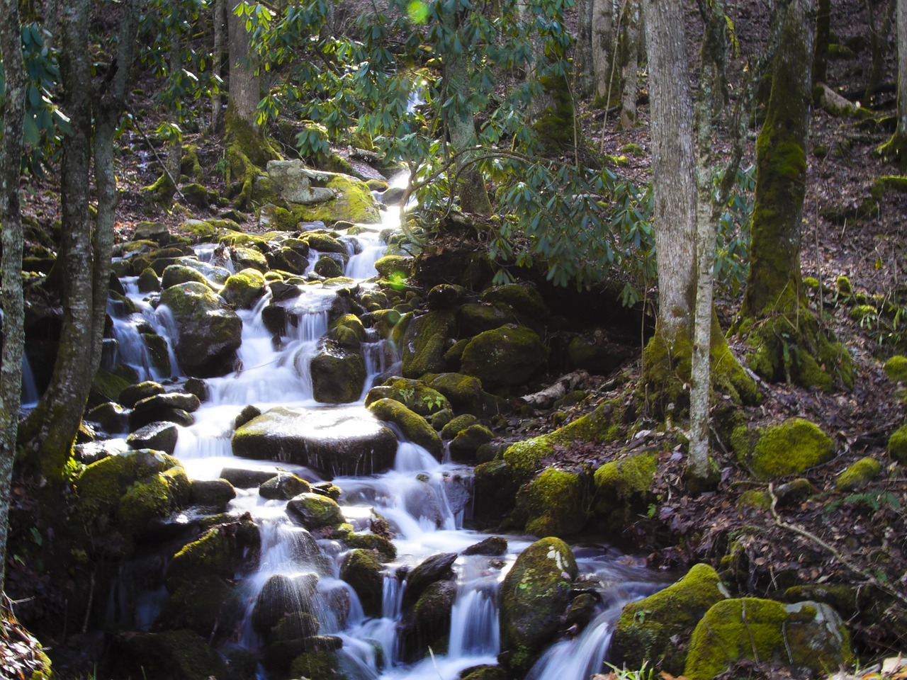 smokey, mountains, nature, north carolina, river, creek Virtual (Mental Health Services) Helping Cary Residents Create a Work-Life Balance