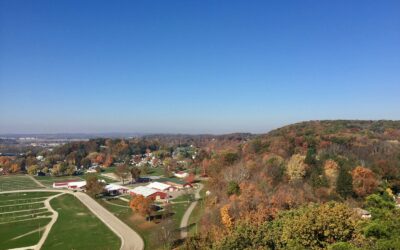 The Importance of Virtual Trauma Therapy for Franklin Professionals