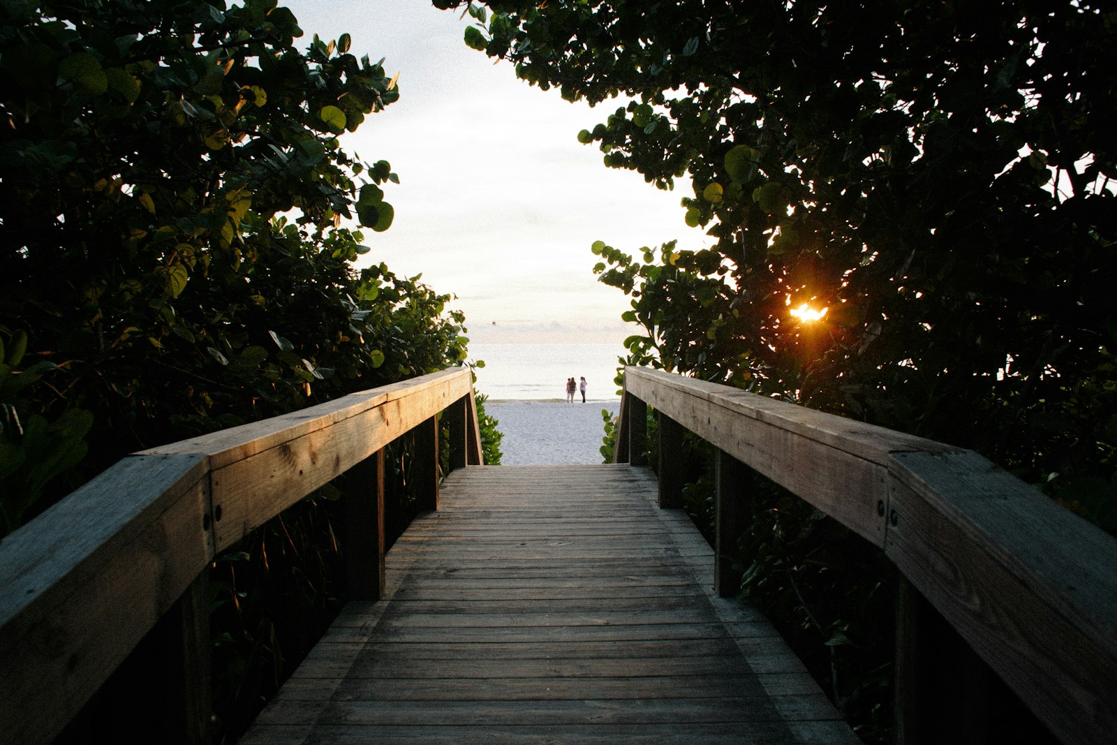 brown wooden walkway (Teletherapy) For Naples Residents | Reduce Stress & Anxiety with Groundbreaker Therapy