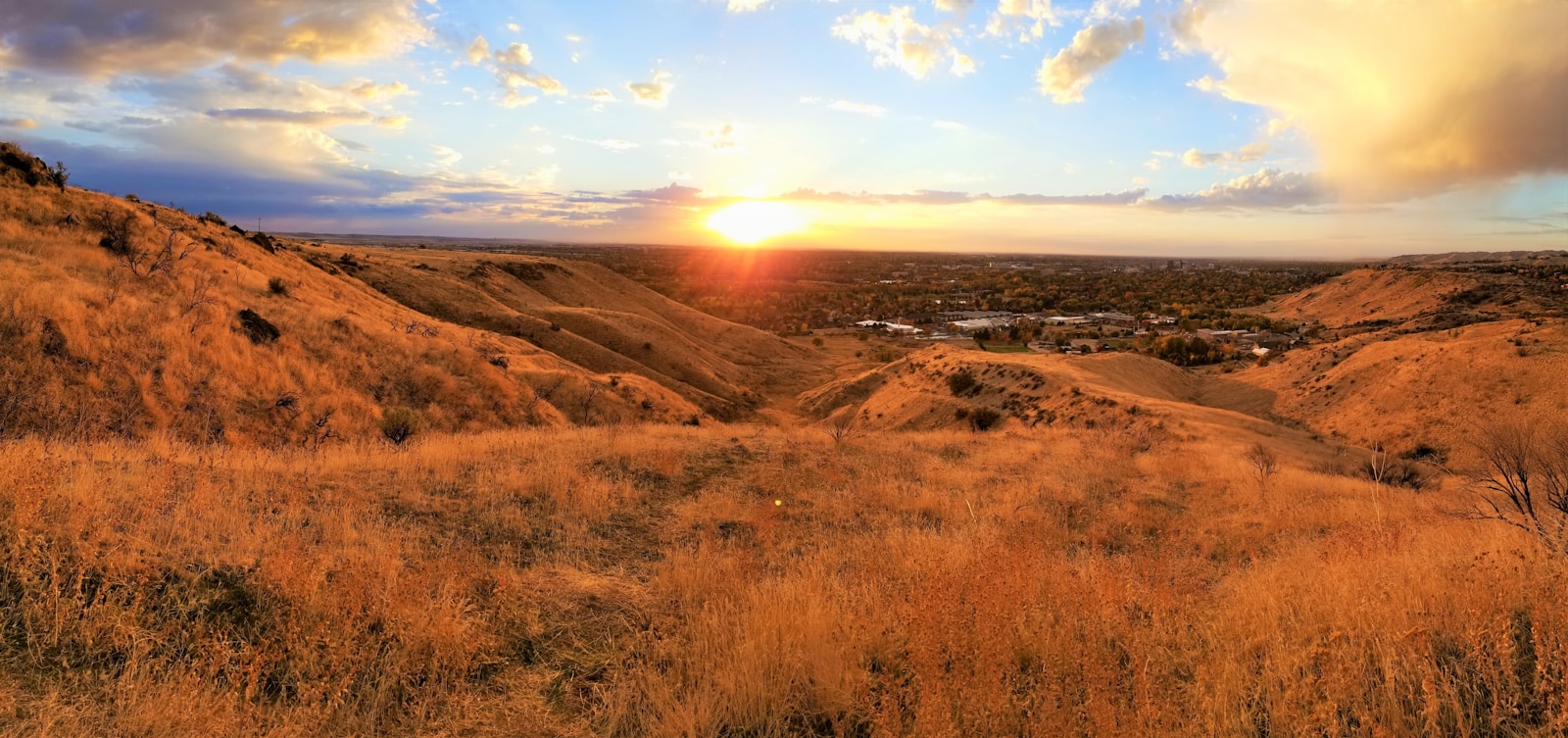 mountain views during golden hour Expanding (Teletherapy) Options for Boise Residents