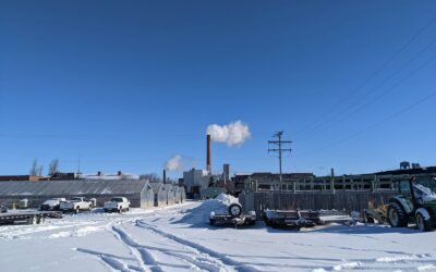 Psychiatrist vs Psychologist | Groundbreaker Therapy is Breaking Barriers for Fargo Residents