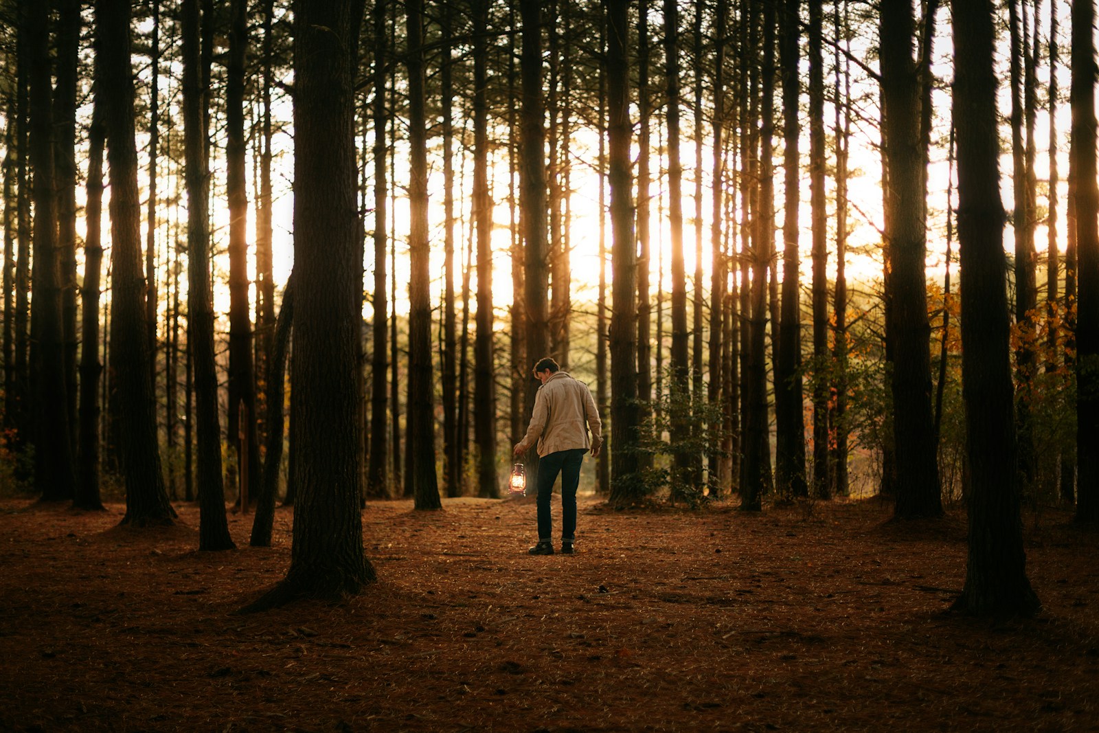 Photo by Silviu Zidaru woman in white jacket walking on forest during daytime Mindfulness Practices
