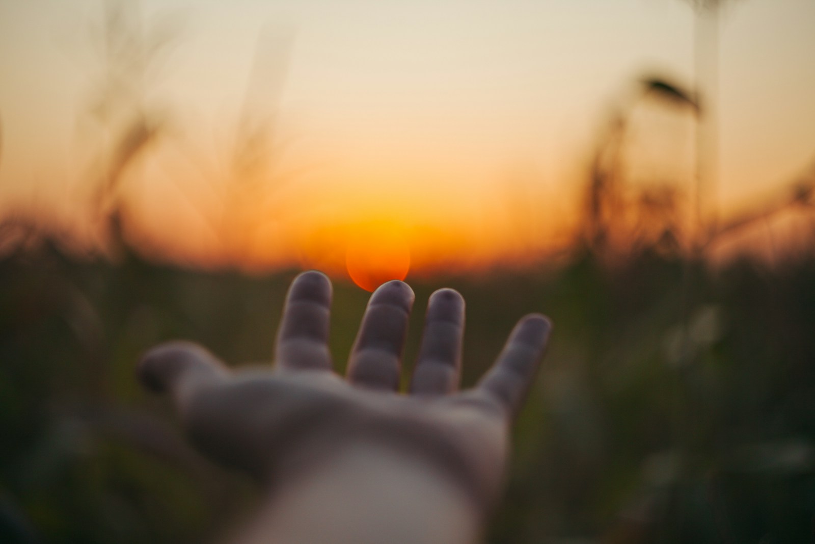 selective focus photo of person laying hand over the sunset Situational Depression: When Life Events, Health Struggles, and Burnout Push You to the Edge