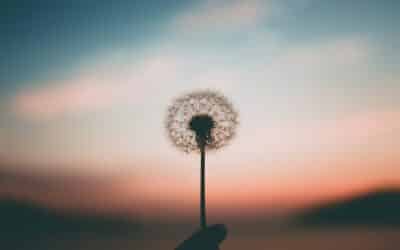 Depression Quotes: Overcoming Depression with Resilience and Hope