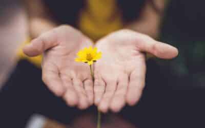 Navigating the Mental Health Crisis Understanding Causes and Solutions