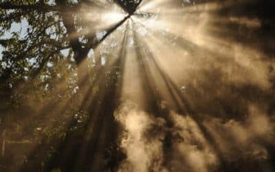 Blueprint for an Effective Treatment Plan | Mastering Your Mental Health