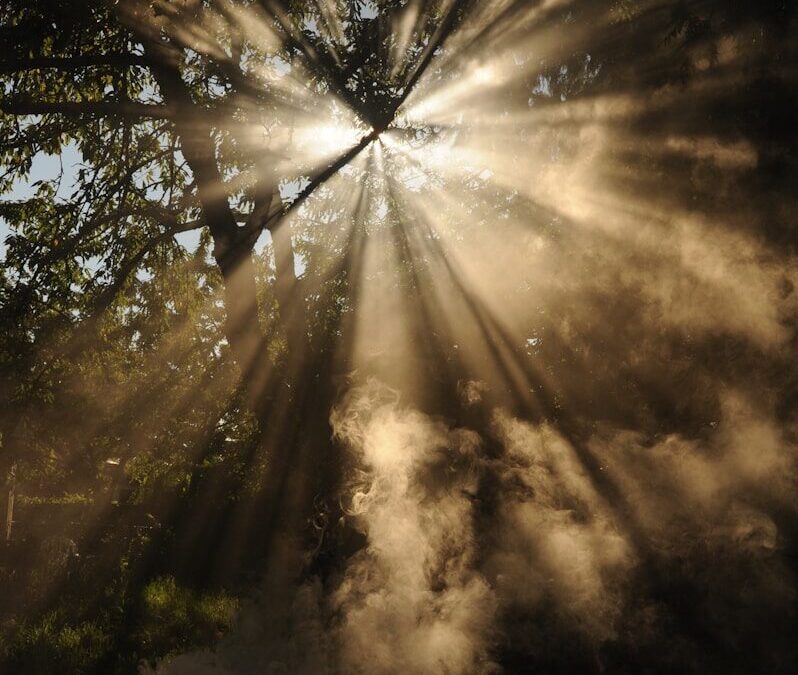 Blueprint for an Effective Treatment Plan | Mastering Your Mental Health