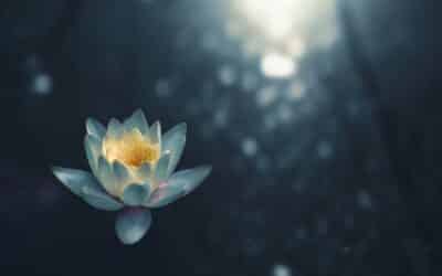 Designing the Perfect Meditation Space in Your Home