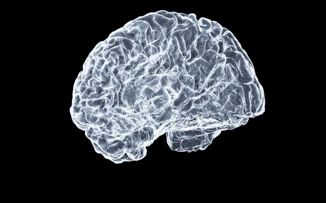 Trauma and the Brain: A Guide to Short-Term and Long-Term Psychotherapy Options for Effective Recovery
