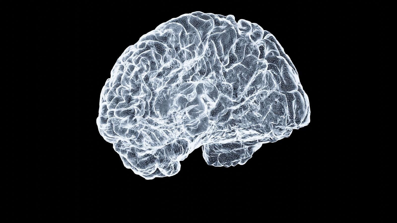 a close up of a human brain on a black background Trauma and the Brain: A Guide to Short-Term and Long-Term Psychotherapy Options for Effective Recovery