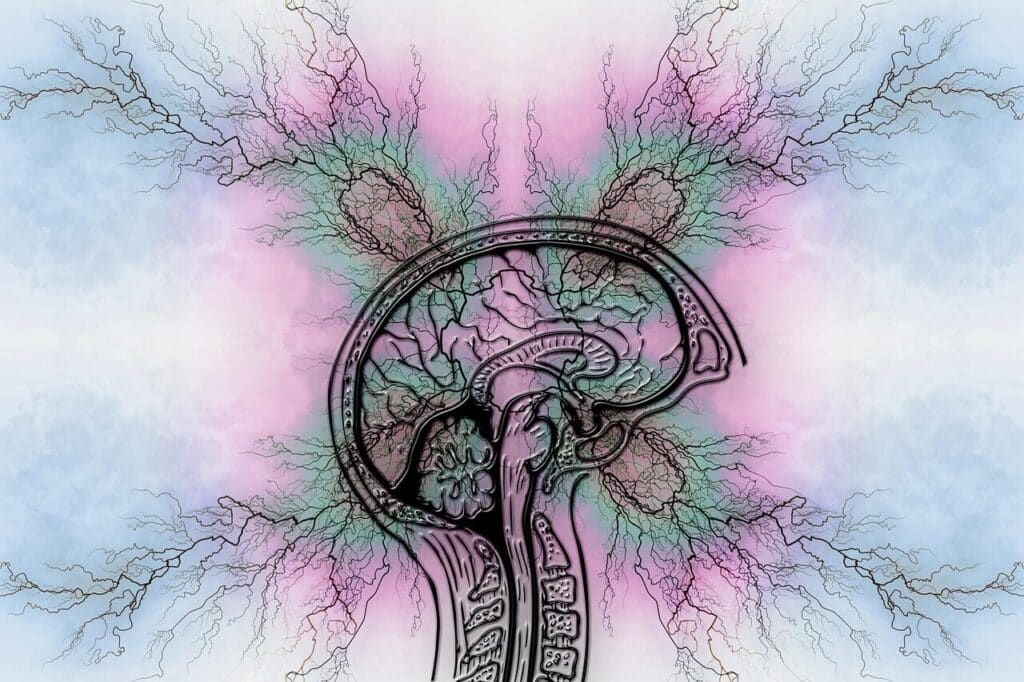 tourette syndrome, epilepsy, adhd, obsessive compulsive disorder, disease, flashes, brain, thunderstorm, headache, neurological, error, annoy, symptoms, attention deficit hyperactivity, parkison, epilepsy, adhd, adhd, adhd, adhd, adhd