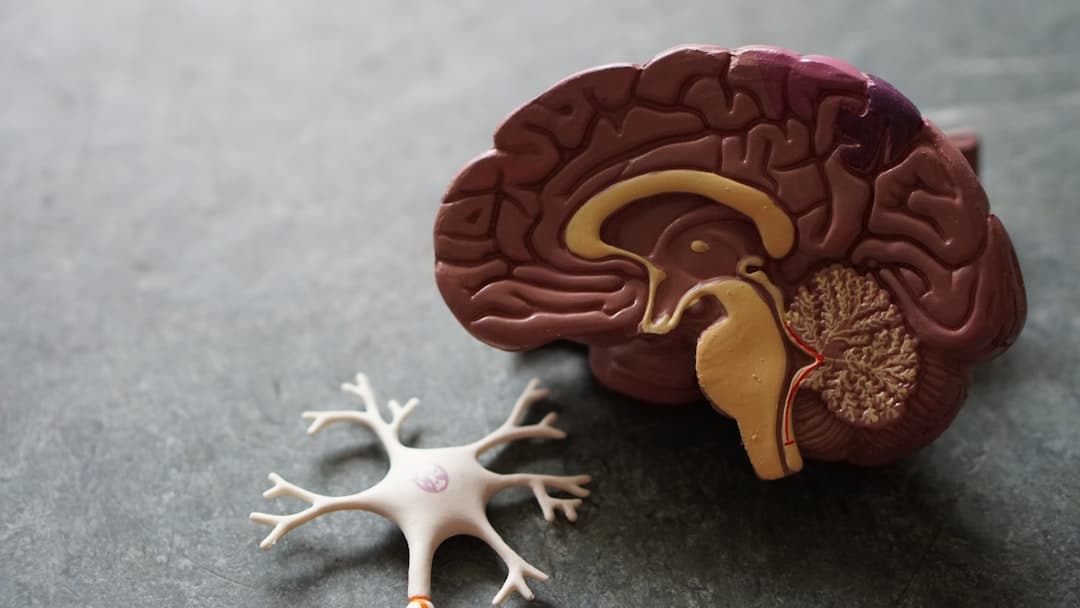 What Is CPTSD? Understanding Complex PTSD and Complex Post Traumatic Stress