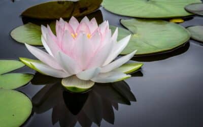 Unspecified Mood Disorder: What Does the Diagnosis Mean?