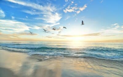 Finance Success and Emotional Security: Why Earning More May Not Reduce Anxiety